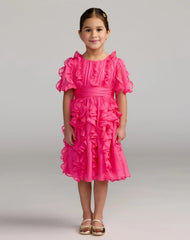 Girls Pink Chiffon High Neck Ruffle Dress