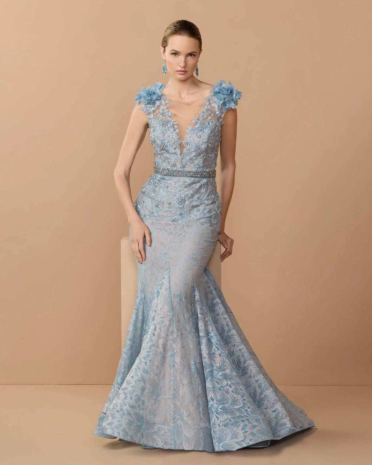 Embroidered Illusion Appliqued Bodice Trumpet Gown